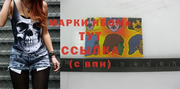 шишки Верея