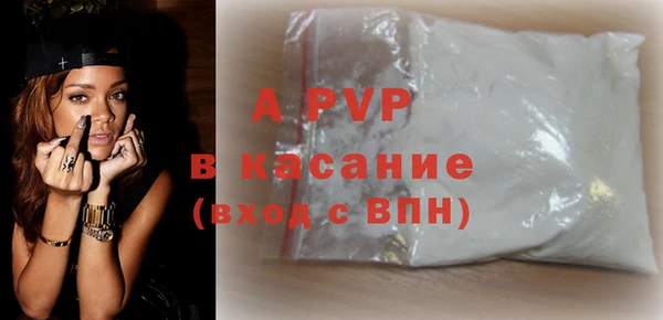 шишки Верея