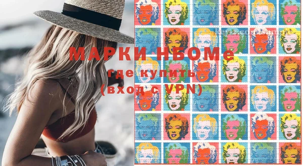 spice Богородицк