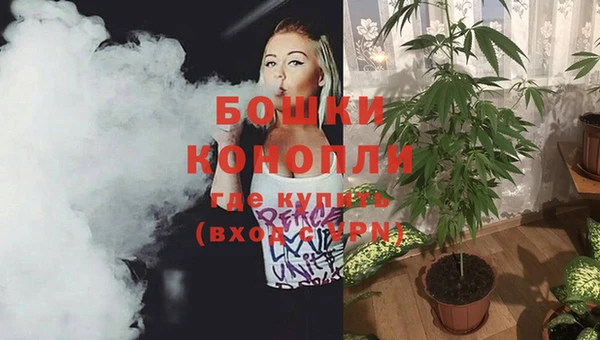 ГАЛЛЮЦИНОГЕННЫЕ ГРИБЫ Бронницы