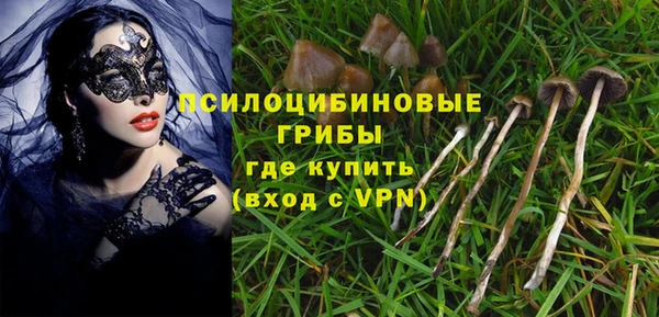 соль ск Бугульма