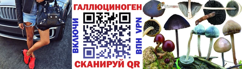 Купить где  Можга  Галлюциногенные грибы Magic Shrooms 